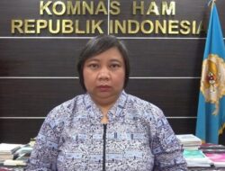 Komnas HAM Minta Pembebasan Peserta Aksi yang Diamankan