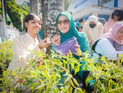 Gerakan Tanam Cabai di Mataram Berhasil Panen Meski Diterpa Kendala Cuaca