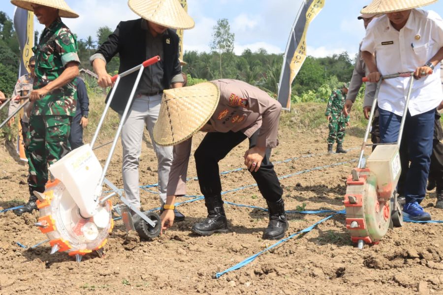 Polres Lombok Tengah Tanam Jagung Dukung Swasembada Pangan