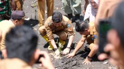 Pemkab Dompu dan Geopark Tambora Bersatu Tanam Ribuan Mangrove di Pesisir