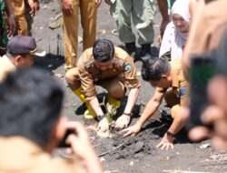 Pemkab Dompu dan Geopark Tambora Bersatu Tanam Ribuan Mangrove di Pesisir
